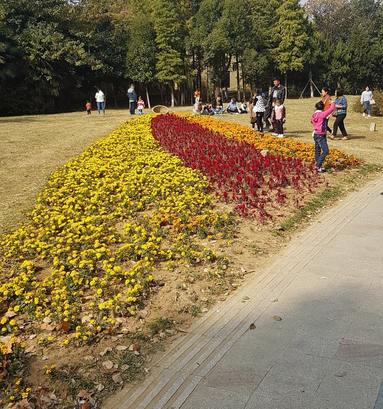 龙湖公园-淮南市必去景点