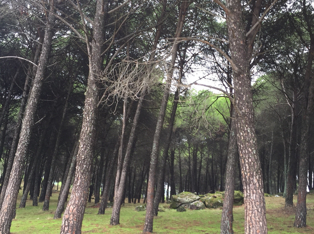 Camino Virgen de la Cabeza景点图片