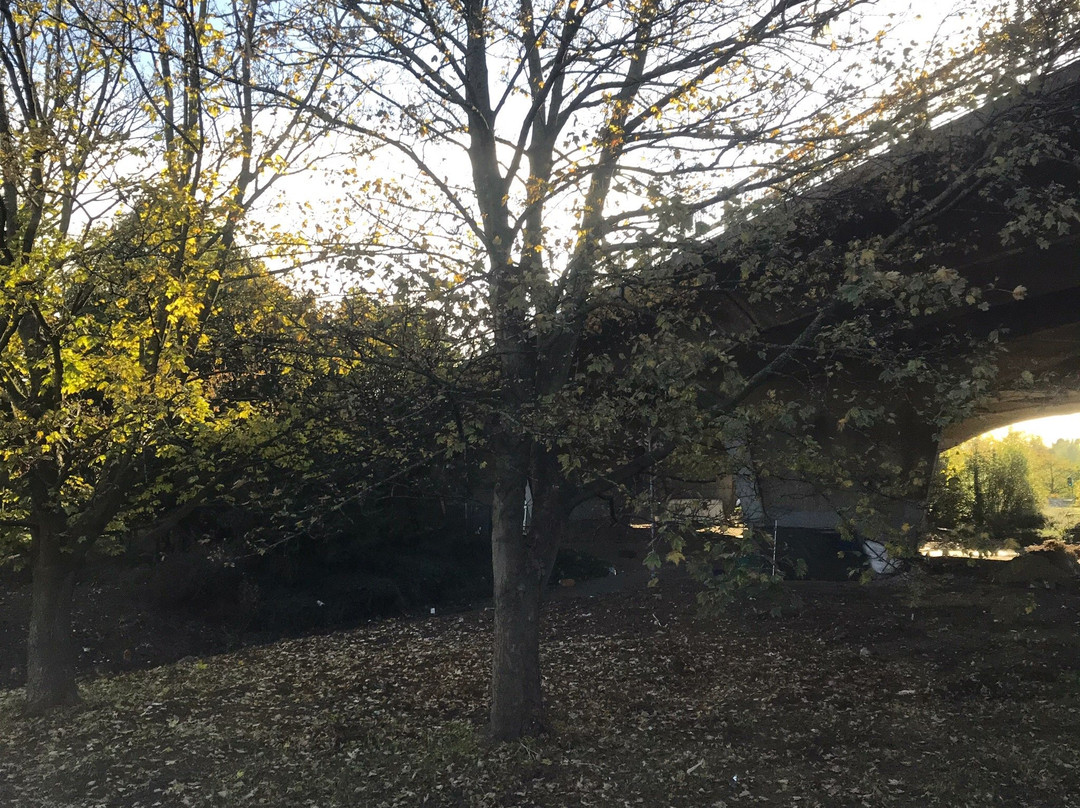 Minibus Heathrow Airport-伦敦必去景点