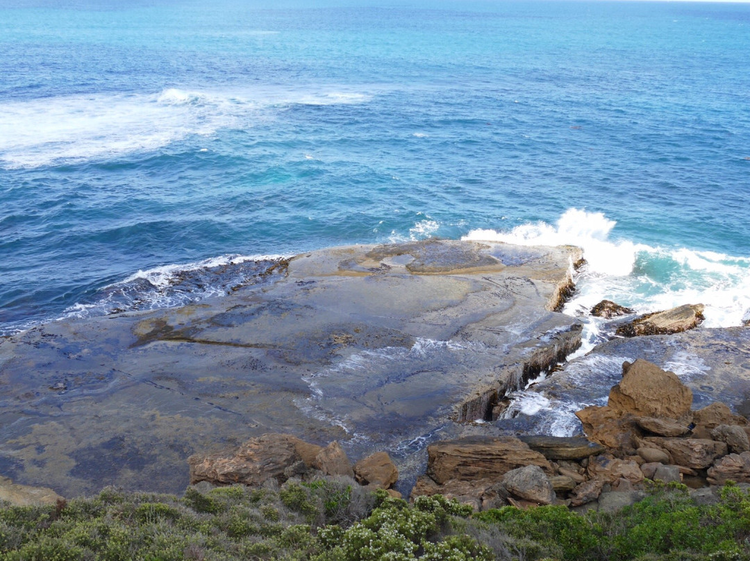Enchanted Forest-Cape Bridgewater必去景点