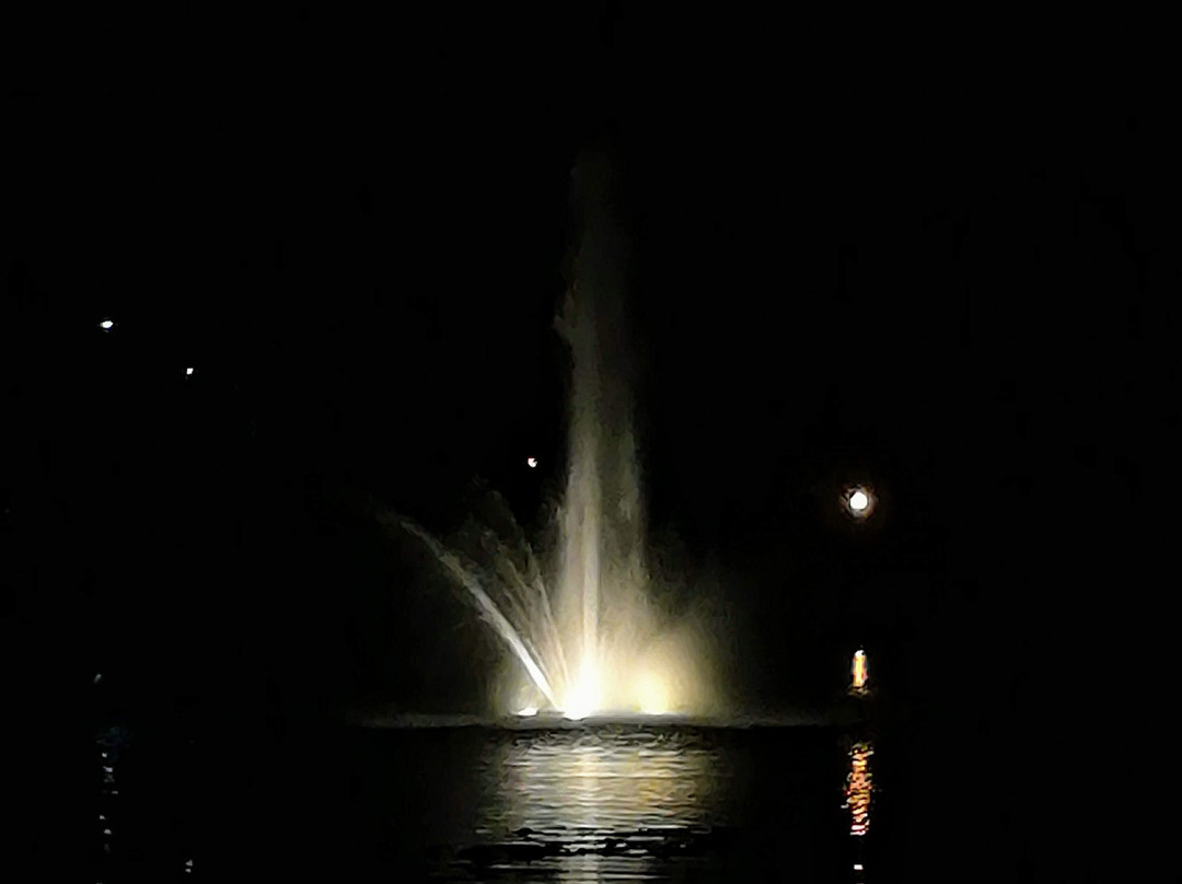 Venue on Lake LIly景点图片