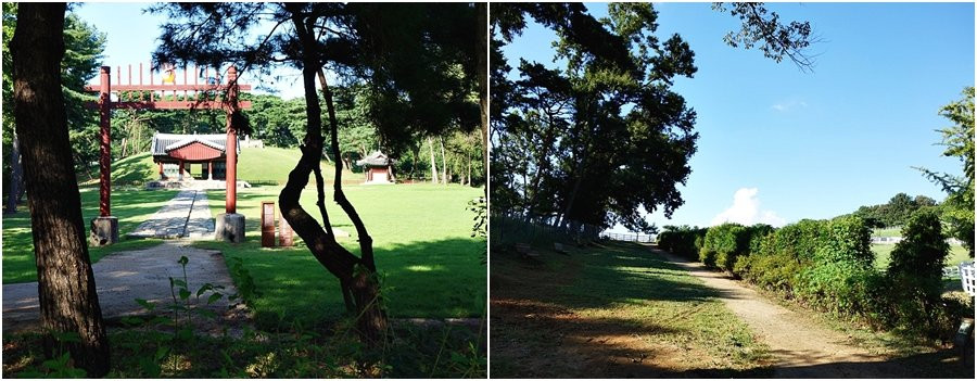 Wondang Jongma Mokjang-高阳市必去景点