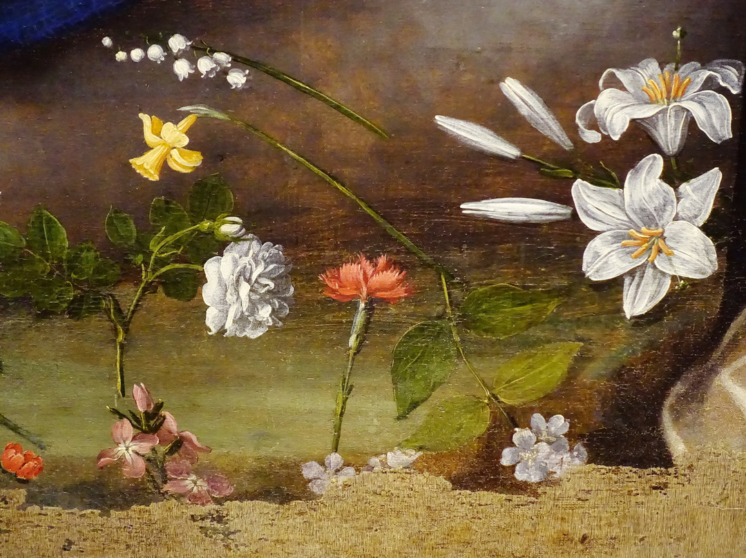 Museo Francesco Gonzaga景点图片