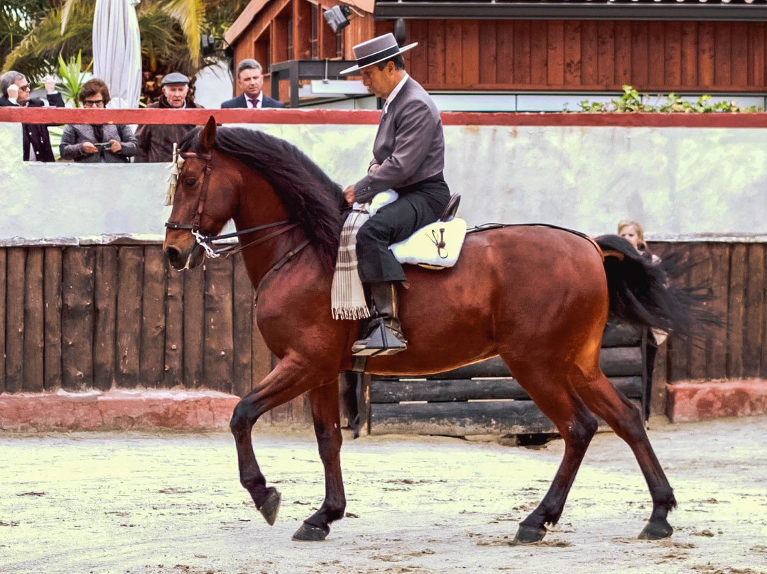 Cervantour-阿尔卡拉-德-哈纳雷斯必去景点