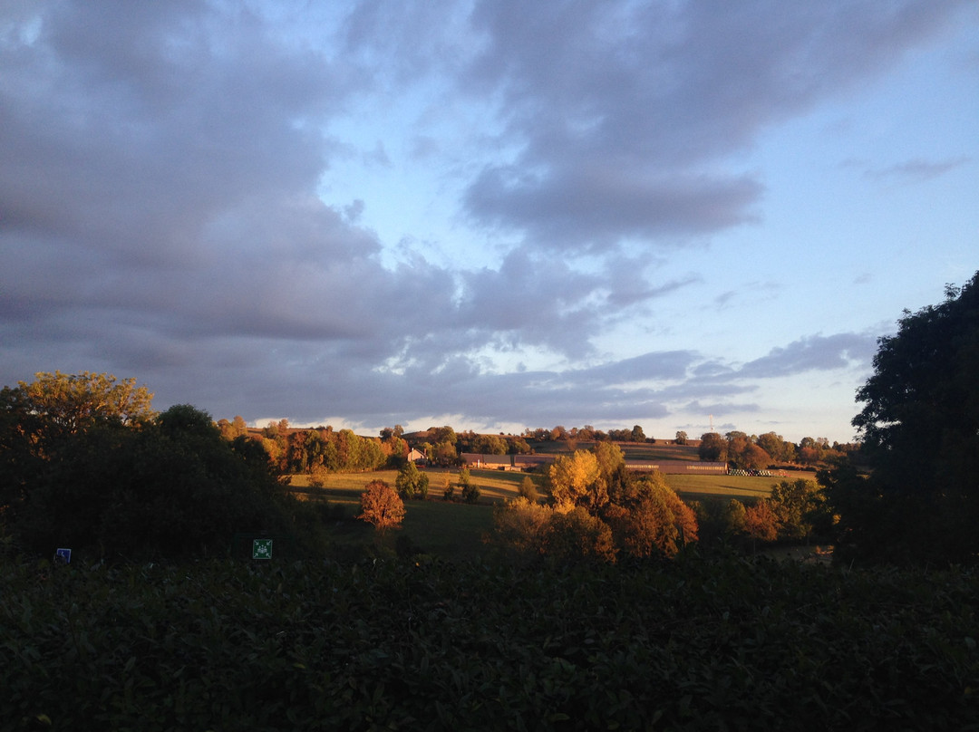 Le Clos Auvergnat