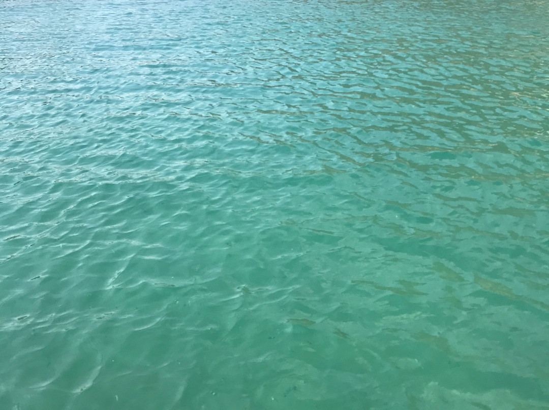 Happy Alternative Style Cafe Bar-卡斯必去景点