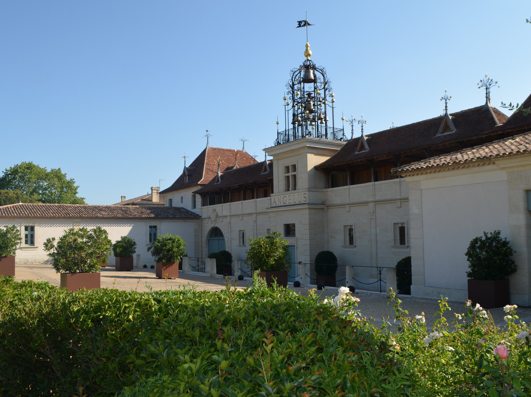 Chateau Angelus景点图片