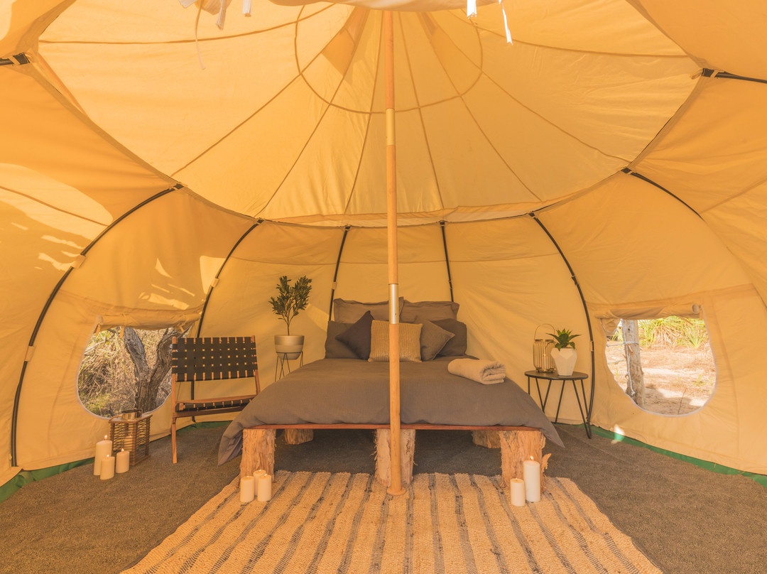 Top End Safari Camp-达尔文市必去景点