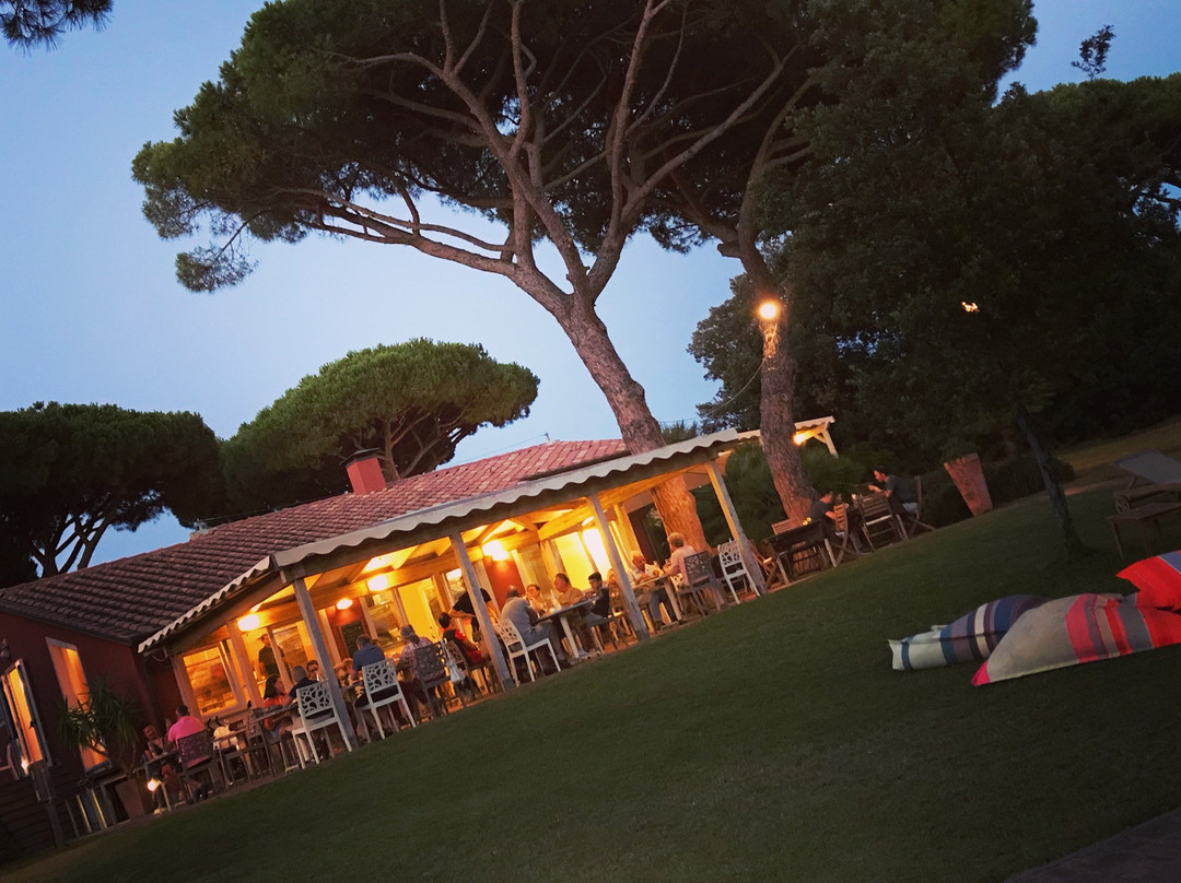 Ristorante Pineta
