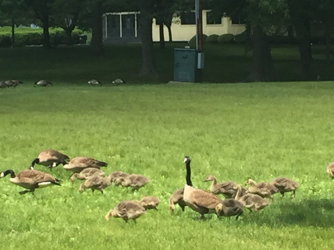 Slater Memorial Park-Pawtucket必去景点