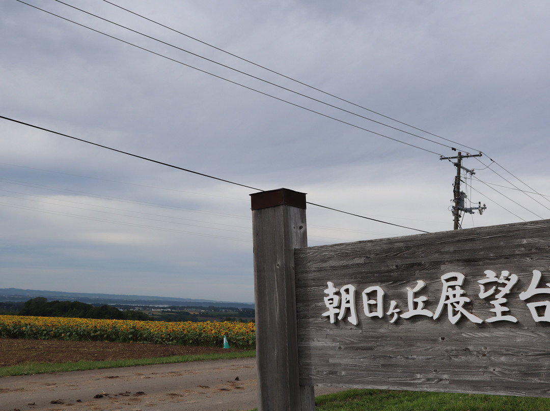 Asahigaoka Viewing Platform-大空町必去景点