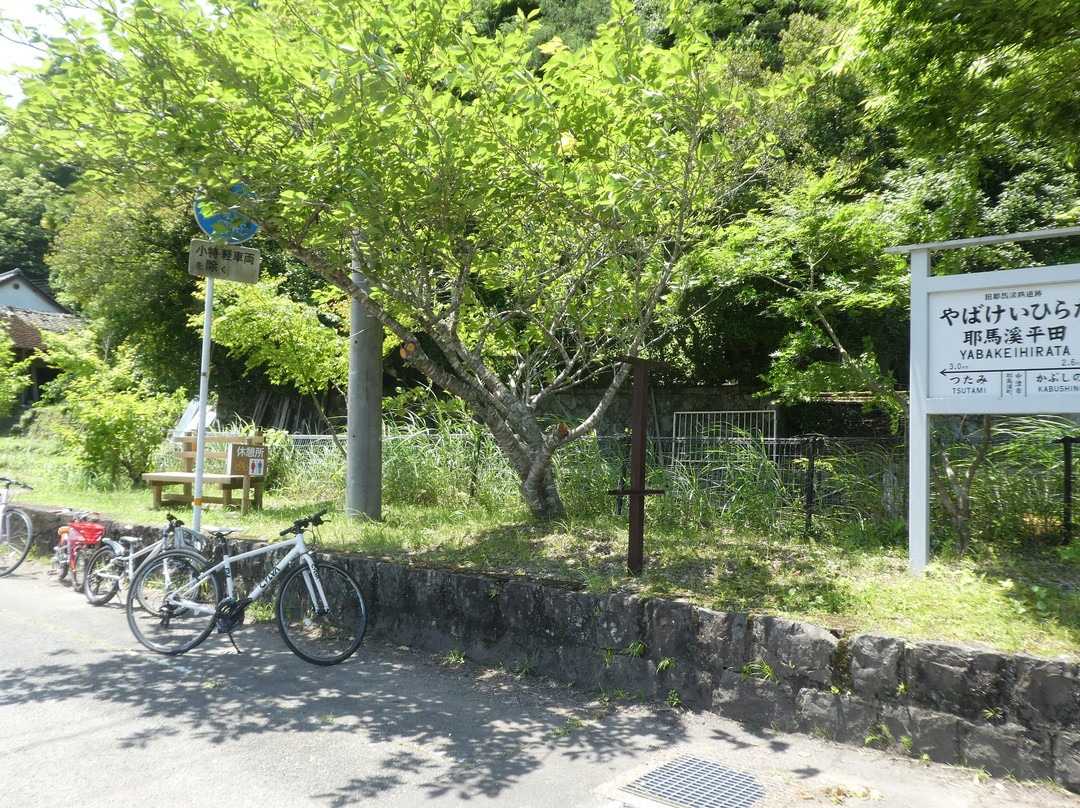 Maple Yaba Cycling Road-中津市必去景点