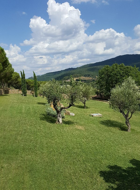 Resort Podere dell'Angiolo主图