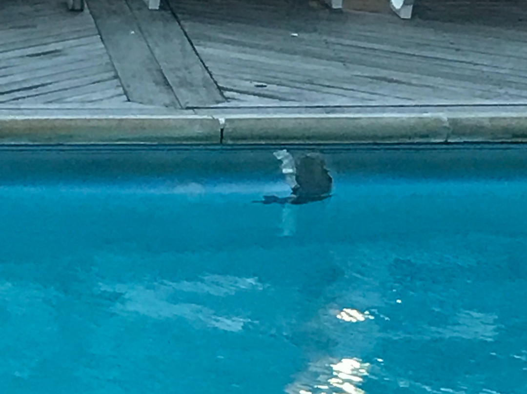 大洋湾公园火岛酒店主图