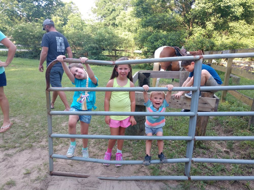 Horse Rides of Pensacola-彭萨科拉必去景点