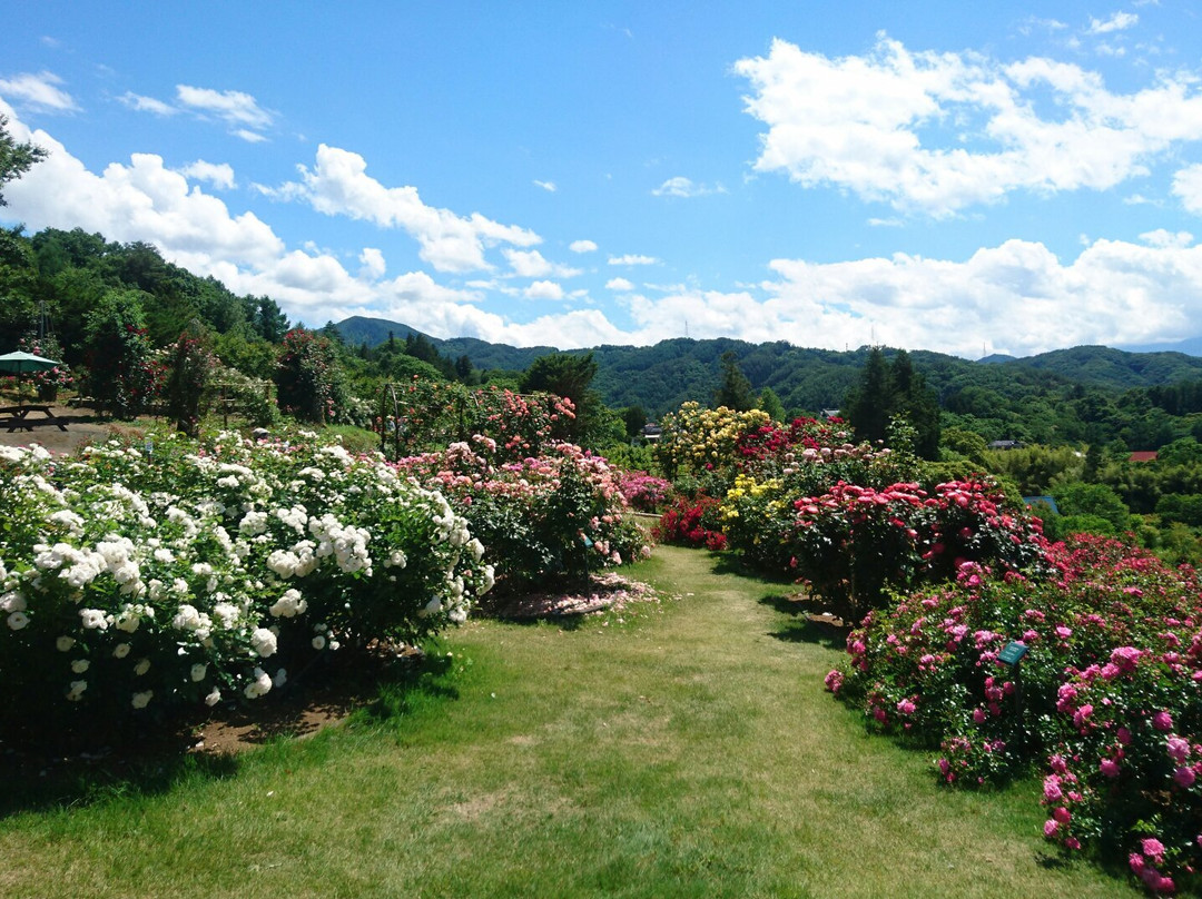 Takato Shinwa no Oka Rose Garden景点图片