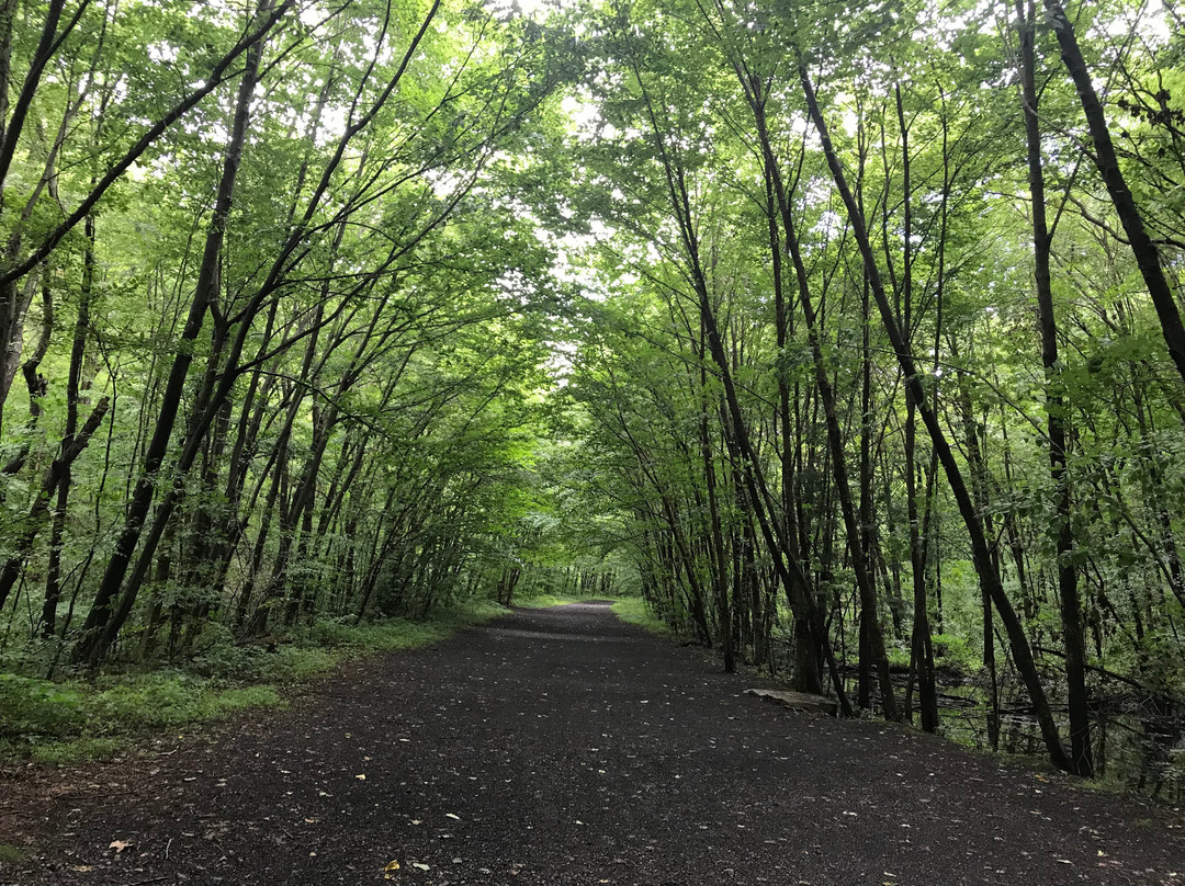 Allamuchy Mountain State Park景点图片