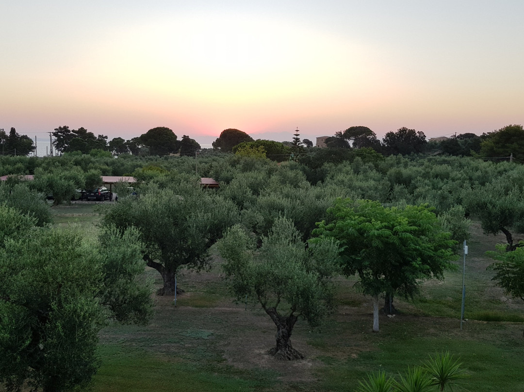 Dimaras Apartments主图