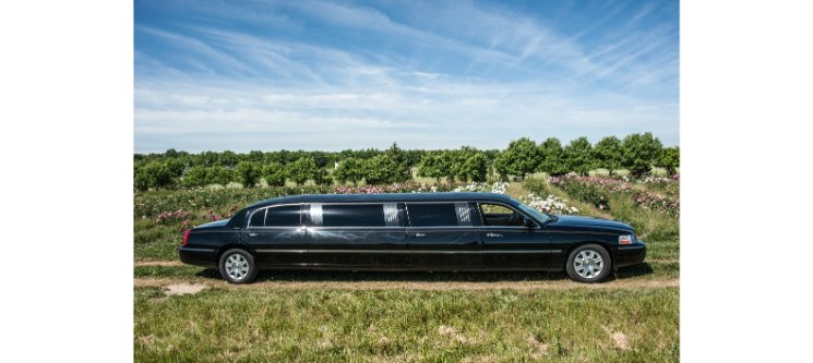 Finger Lakes Winery Tours景点图片