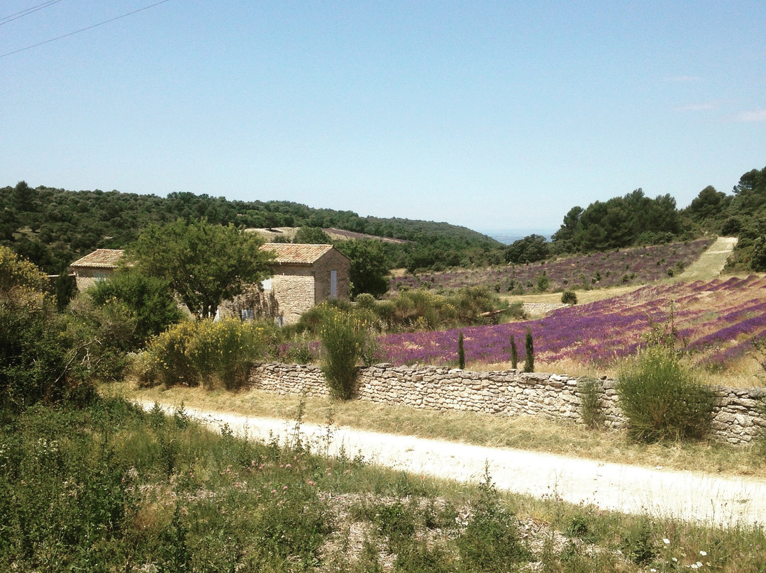 Luberon Tour景点图片
