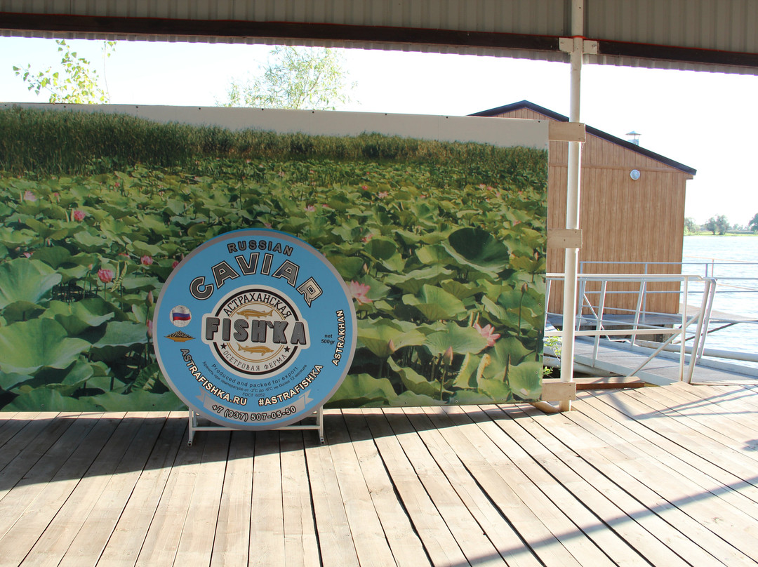 Sturgeon Farm Astrakhanskaya Fishka-Verkhnekalinovskiy必去景点