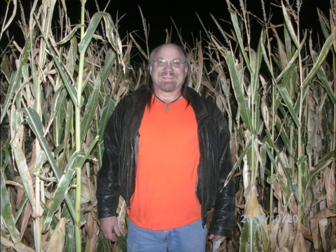 At'l Do Farms Corn Maze-拉伯克县必去景点