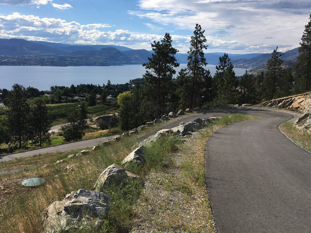 Singing Marmot Guest Suites主图