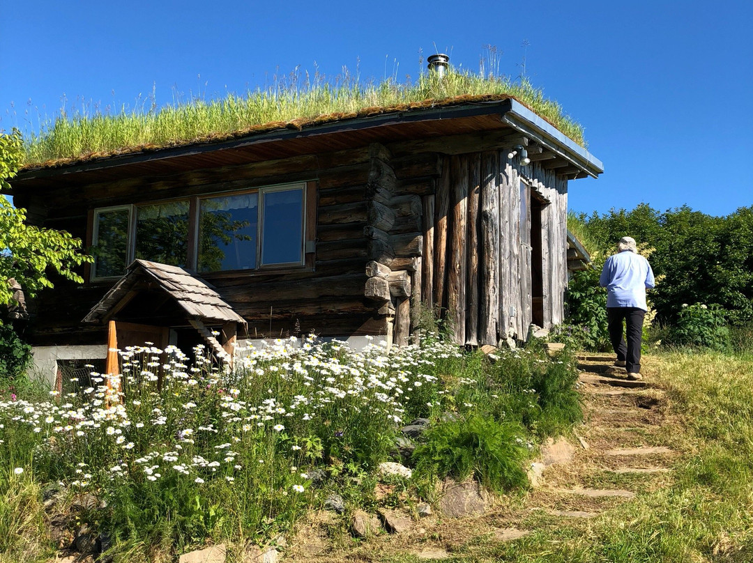 Kilcher Homestead Living Museum-荷马必去景点