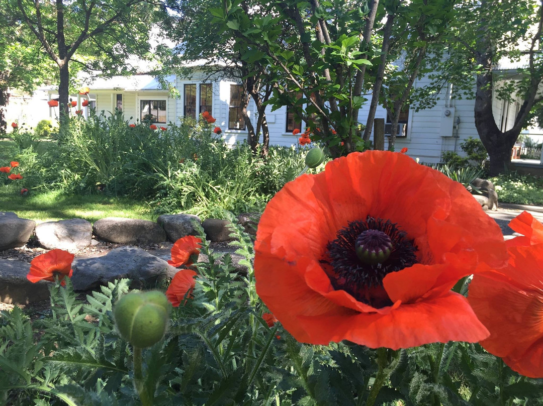 Highland Art Center-Weaverville必去景点