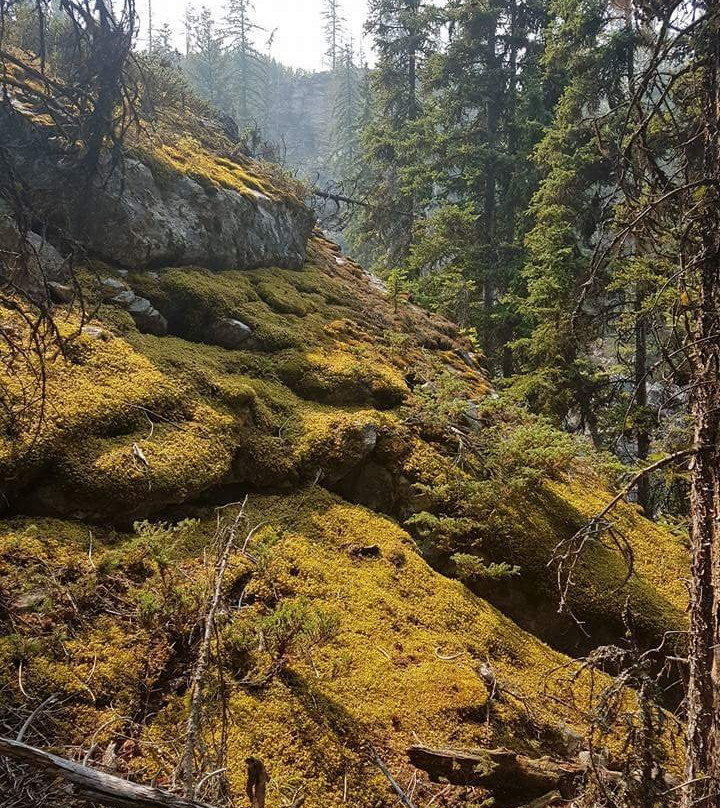 The Boulder Fields-基洛纳必去景点