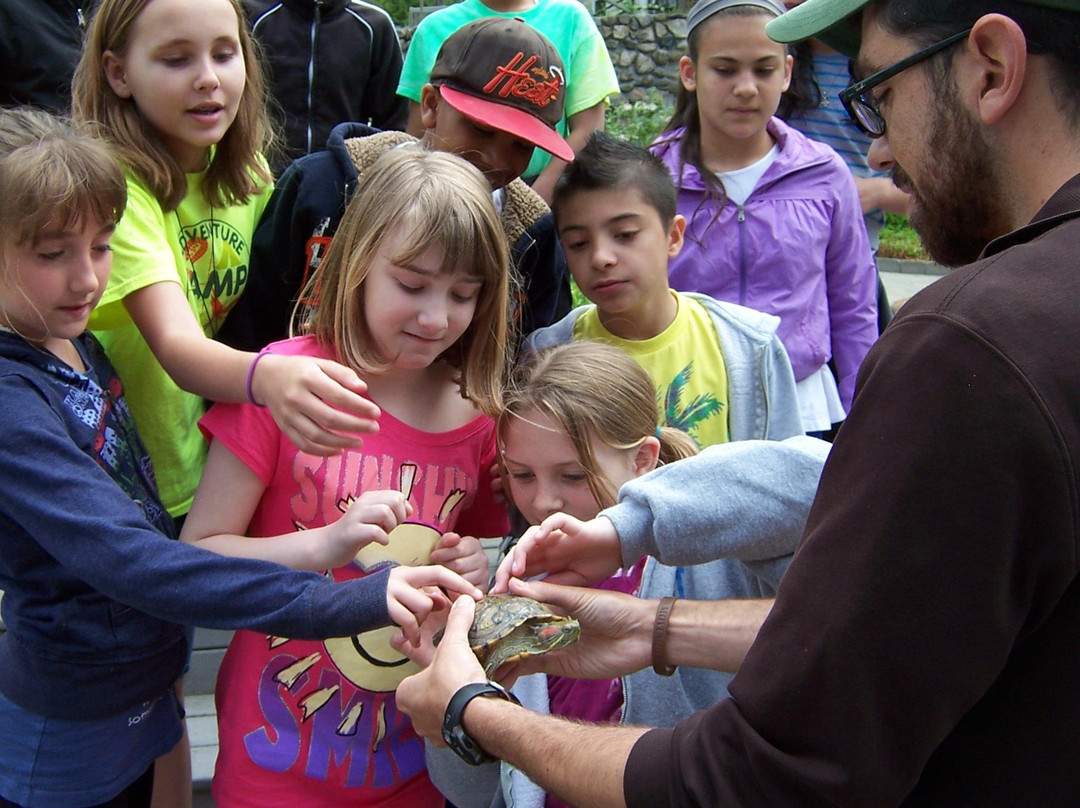 New Canaan Nature Center-New Canaan必去景点