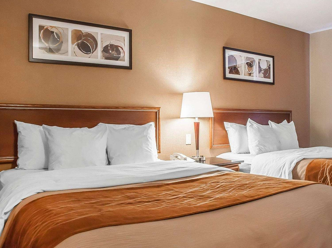 Comfort Inn Simcoe主图