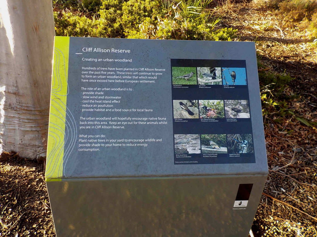 Allison Reserve Playground-埃森登必去景点