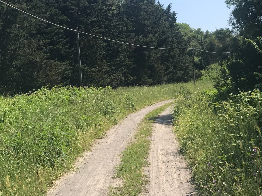 Oasi LIPU Castel di Guido-罗马必去景点