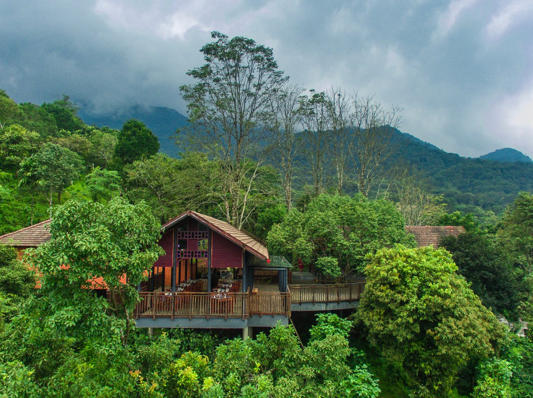 Vythiri酒店住宿-Vythiri Mist Resort