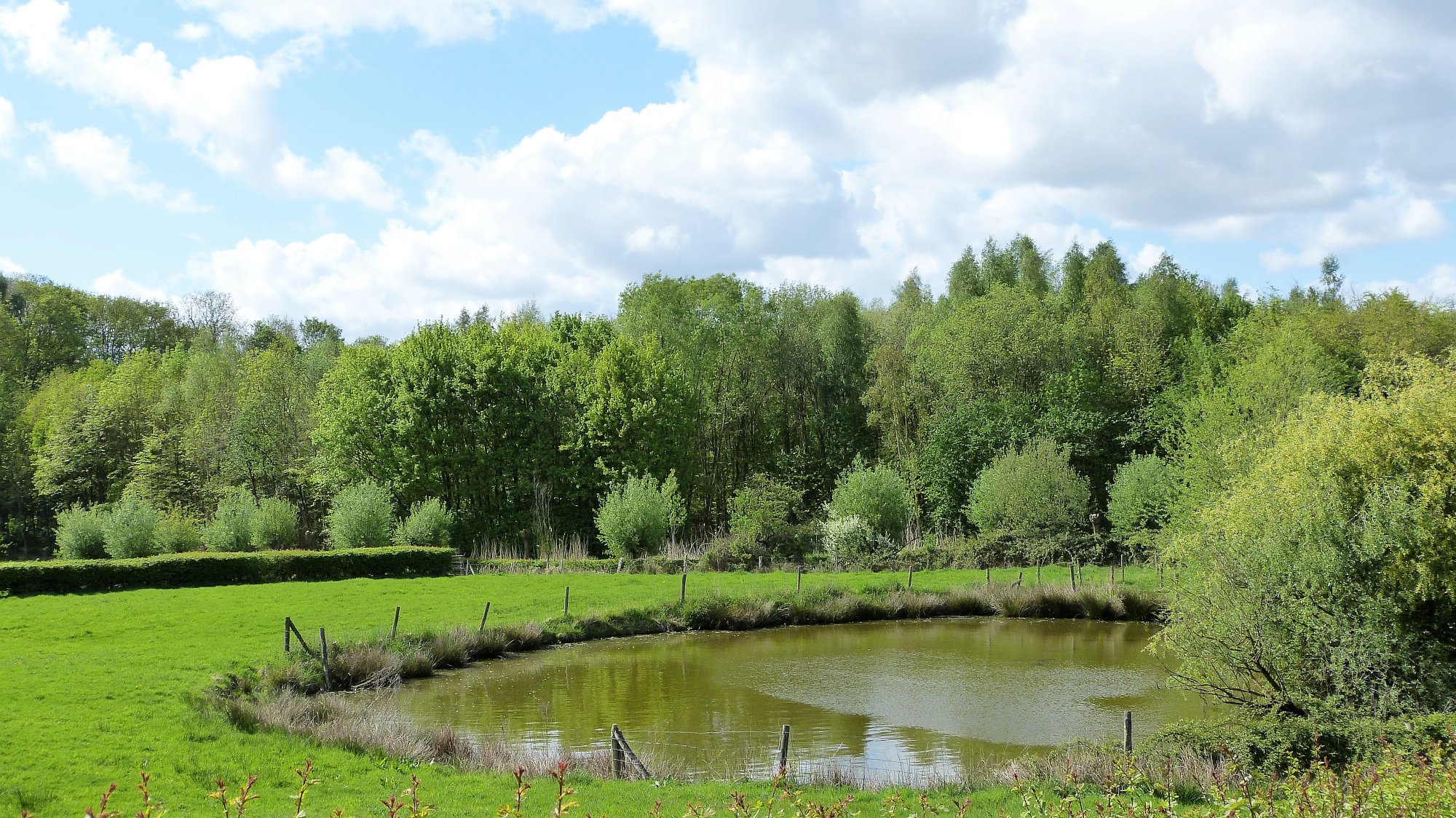 Landgoed Palingbeek-官方
