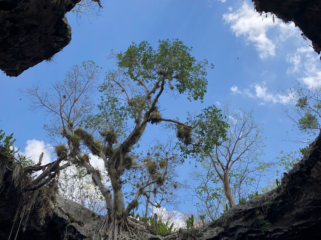 Homun Cenotes景点图片