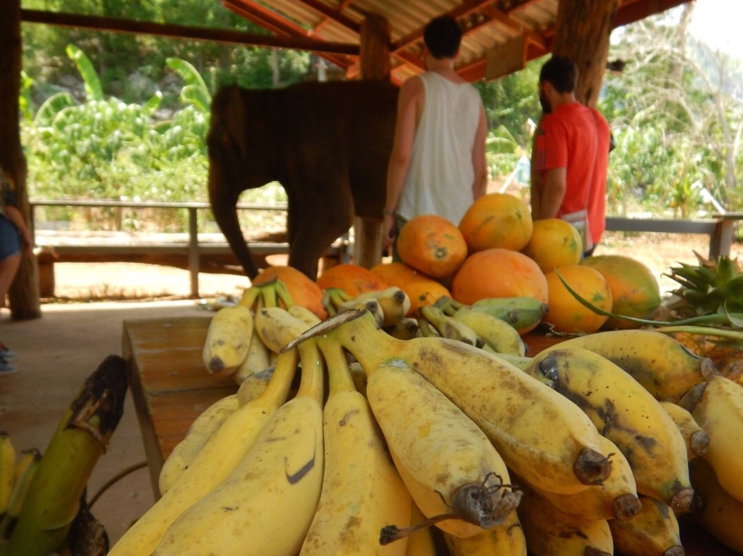 The Banana Orchard Project-北碧必去景点
