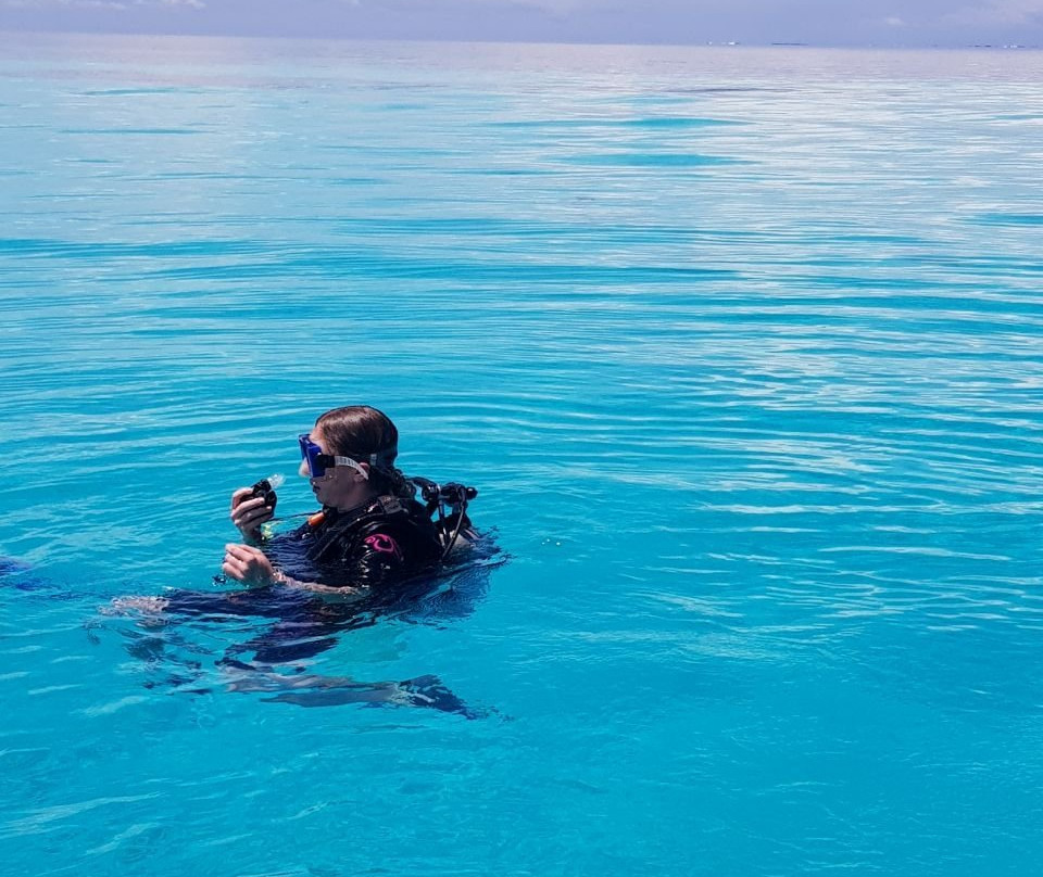 Cool Divers Diving Center-基万嘎必去景点
