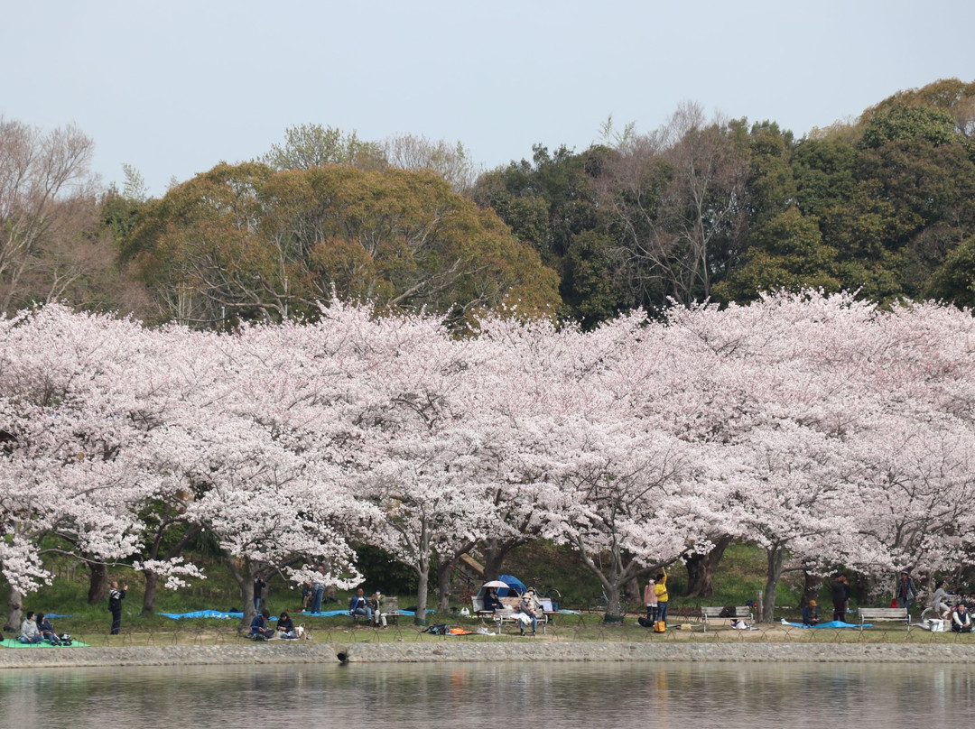 Akashi Park景点图片