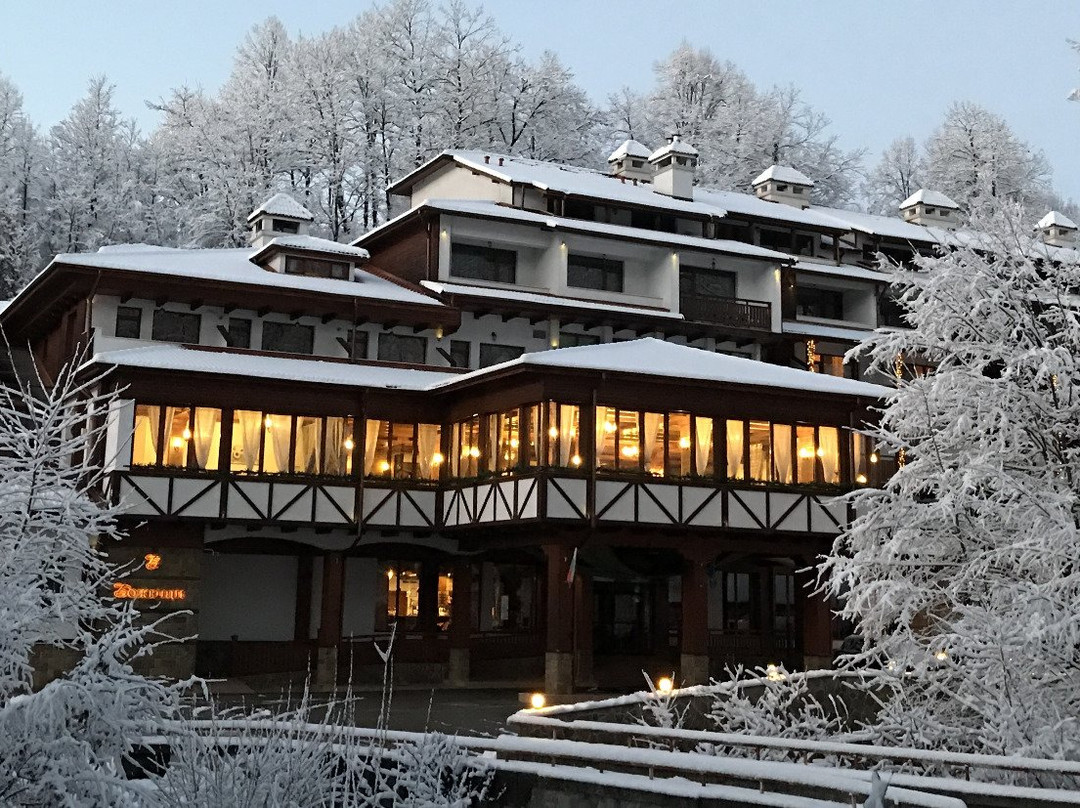 Hotel Bozhenci主图