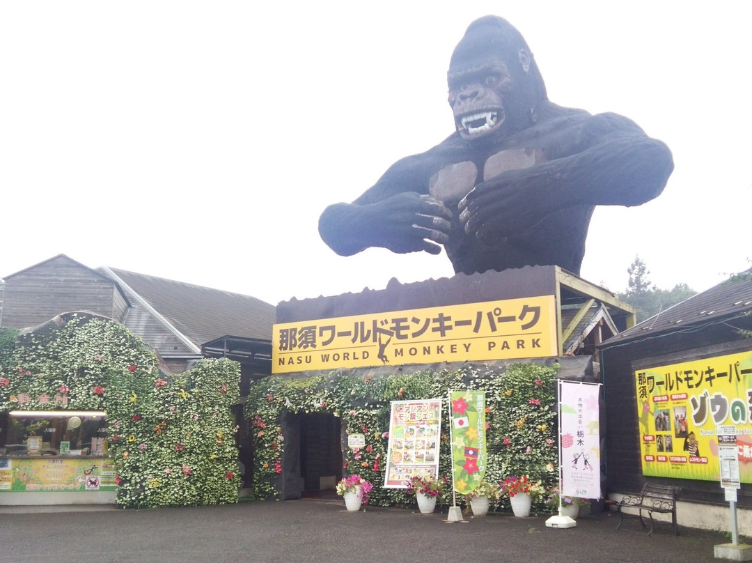 Nasu World Monkey Park-那须町必去景点