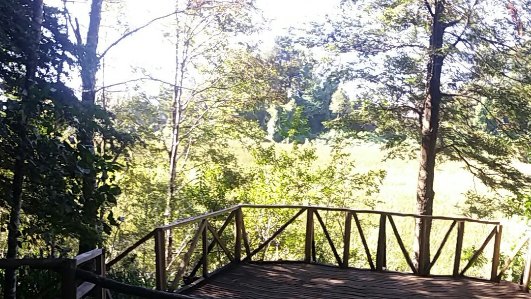 Parque Urbano El Bosque景点图片