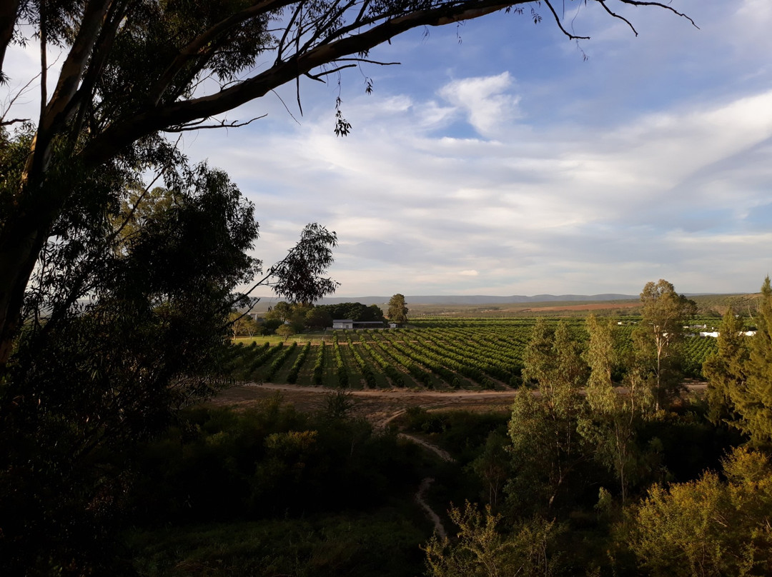 Avoca River Cabins主图