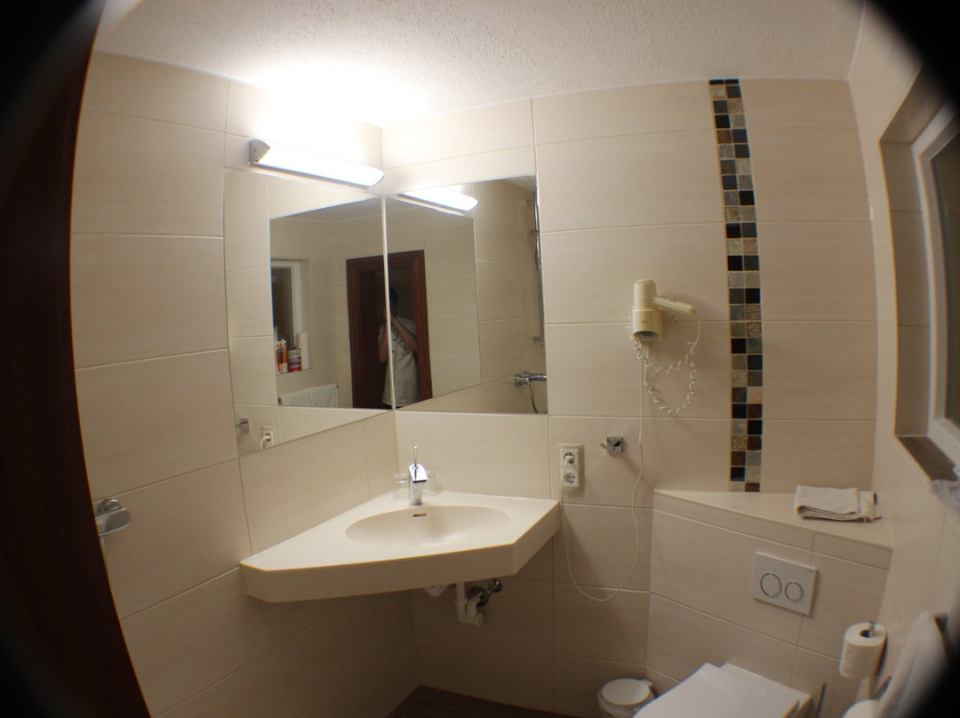 Landhotel Zur Sonne主图