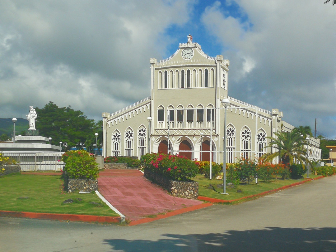 Mount Carmel Cathedral景点图片