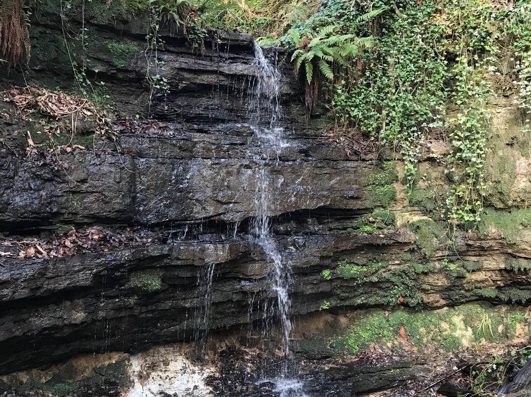 Old Roar Gill-海斯廷斯必去景点