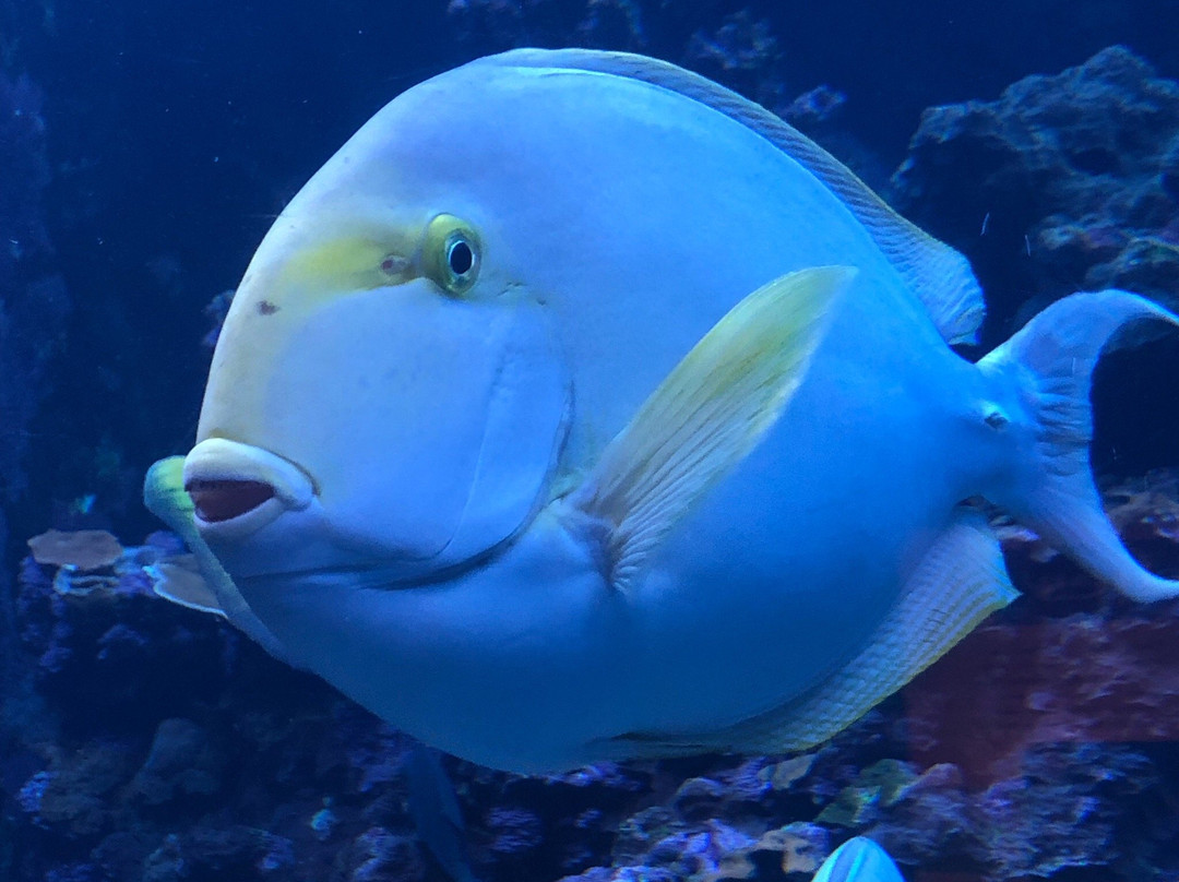 Ocean Science Discovery Center-怀露库必去景点