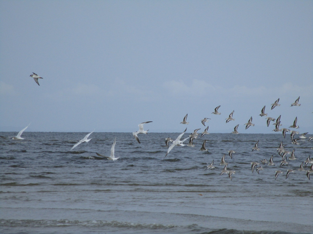 Akanda National Park-利伯维尔必去景点