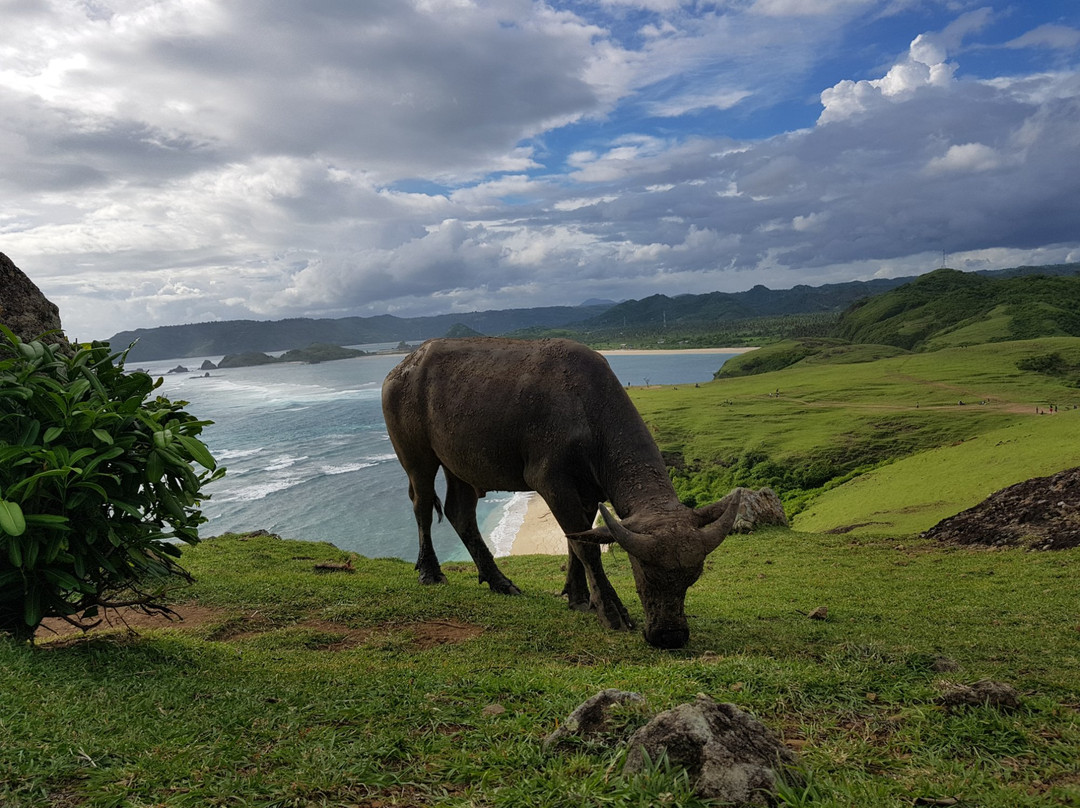 Lombok Escapade-Senggigi必去景点